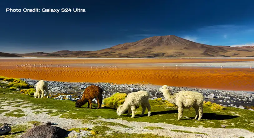 Samsung Galaxy S24 ultra stunning image 